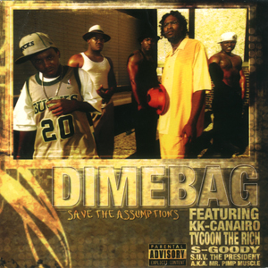 Dimebag "Save The Assumptions"