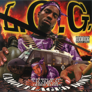 L.O.G. "Camouflaged Down"