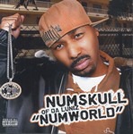 Numskull "Numworld"