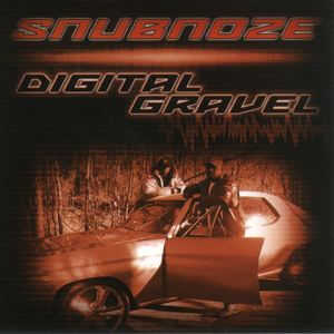 Snubnoze "Digital Gravel"